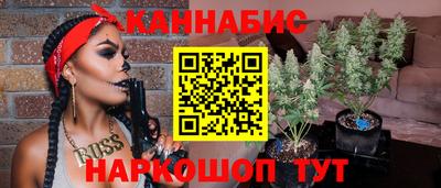 стаф Новокубанск