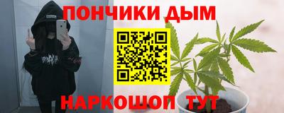 стаф Новокубанск