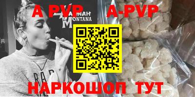 стаф Новокубанск