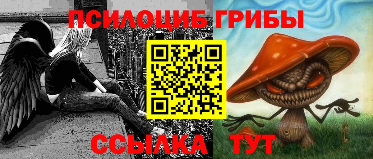 Псилоцибиновые грибы GOLDEN TEACHER  Вход с VPN  Шелехов 
